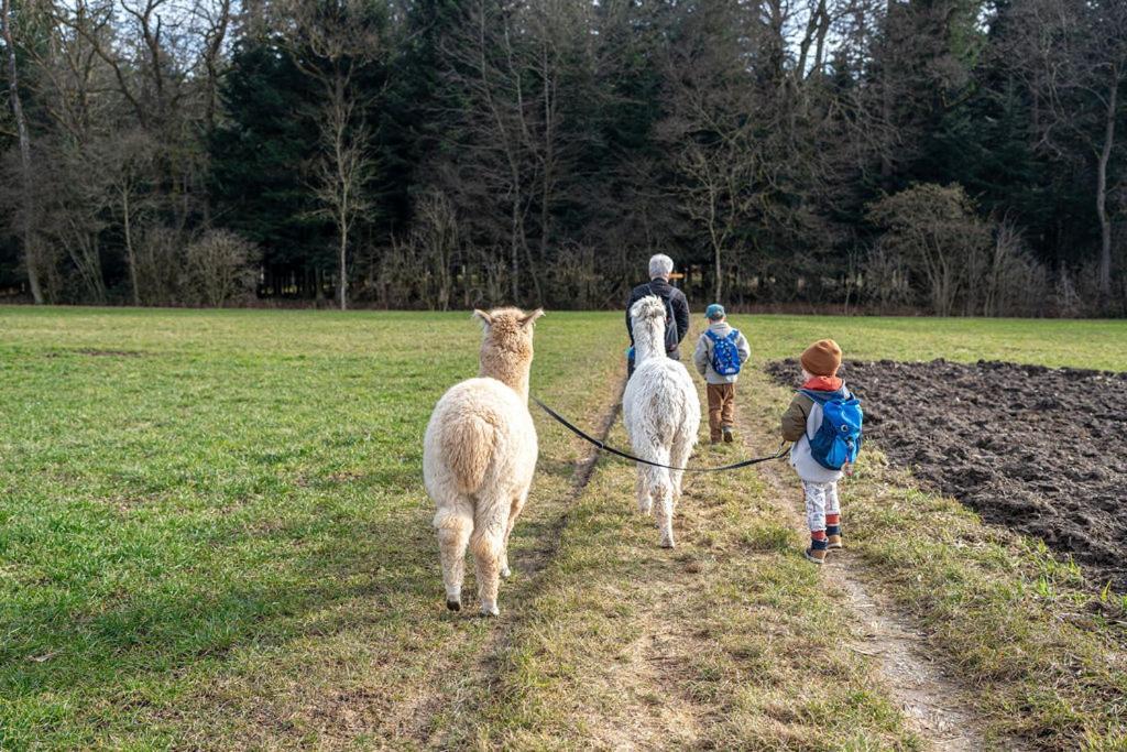 Uelis-Stoeckli-Gaestezimmer Auf Bauernhof Mit Billiard Und Alpakatrekking Meikirch Bagian luar foto